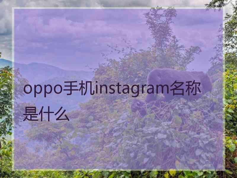 oppo手机instagram名称是什么