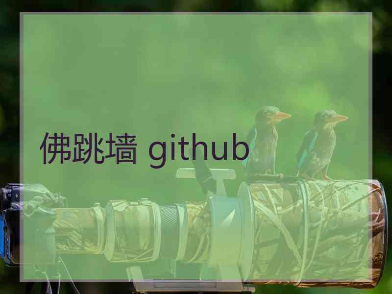 佛跳墙 github