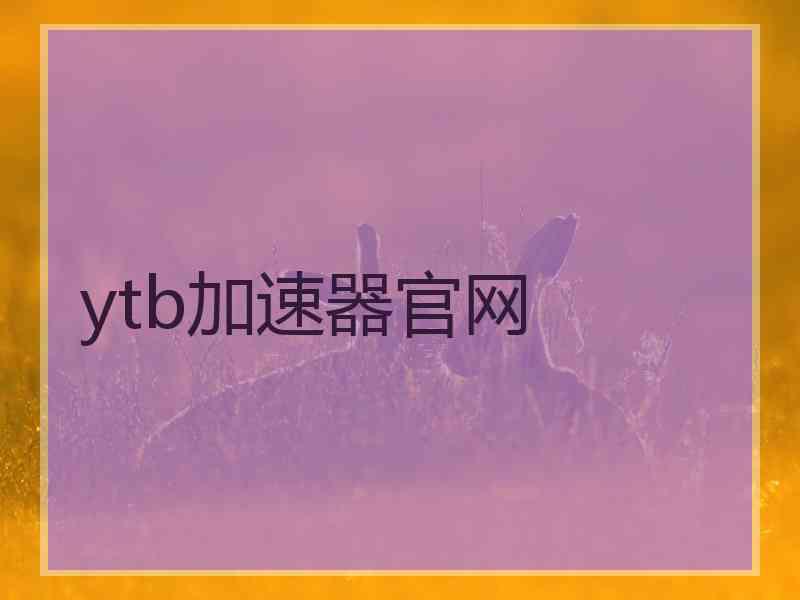 ytb加速器官网