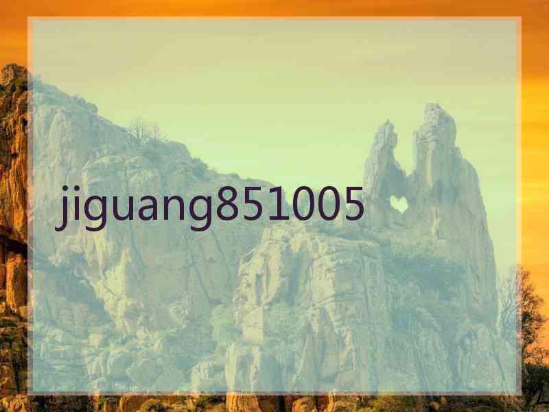 jiguang851005