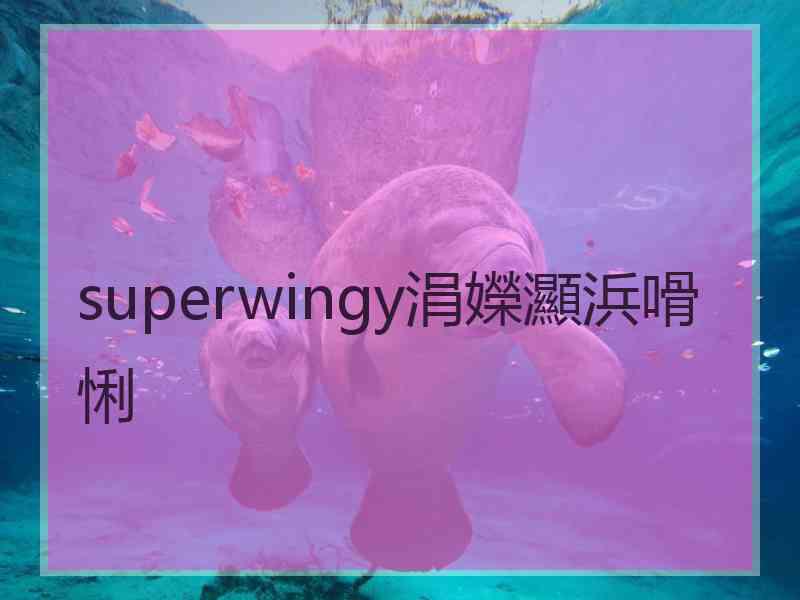 superwingy涓嬫灦浜嗗悧