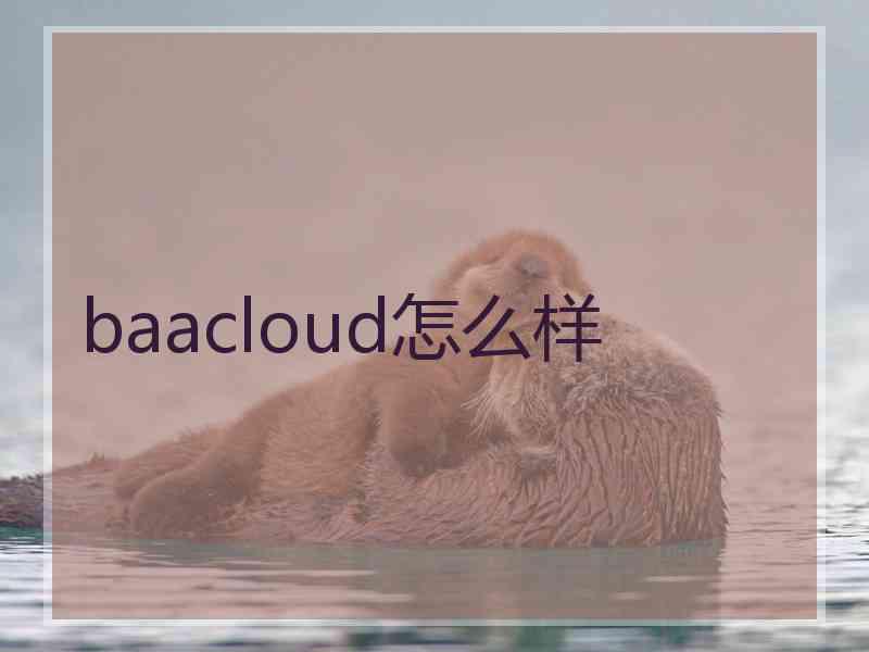 baacloud怎么样