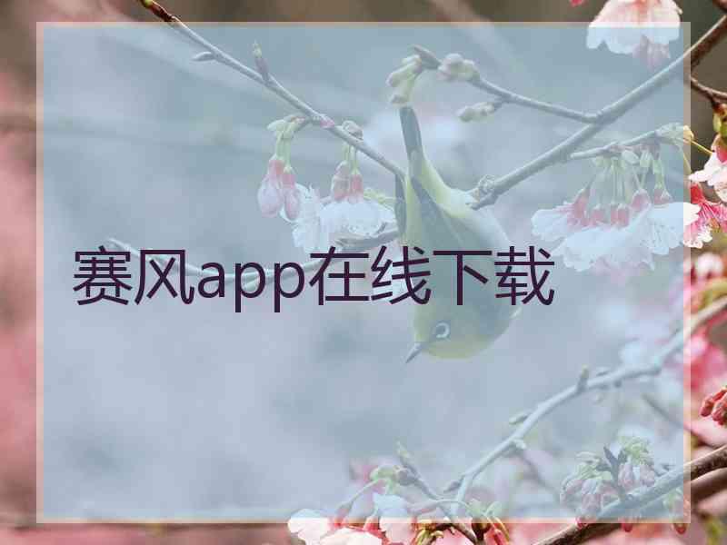 赛风app在线下载