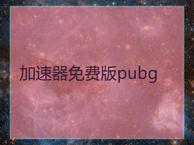 加速器免费版pubg