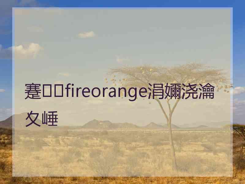 蹇fireorange涓嬭浇瀹夊崜