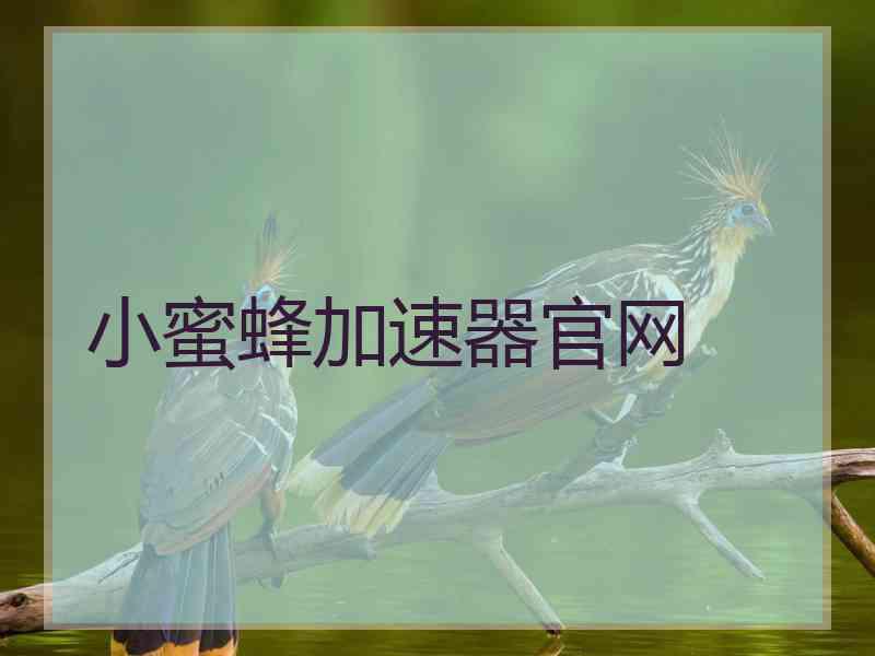 小蜜蜂加速器官网