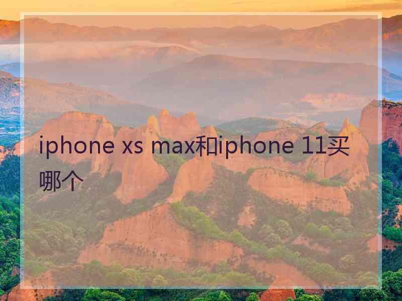 iphone xs max和iphone 11买哪个