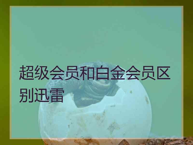 超级会员和白金会员区别迅雷