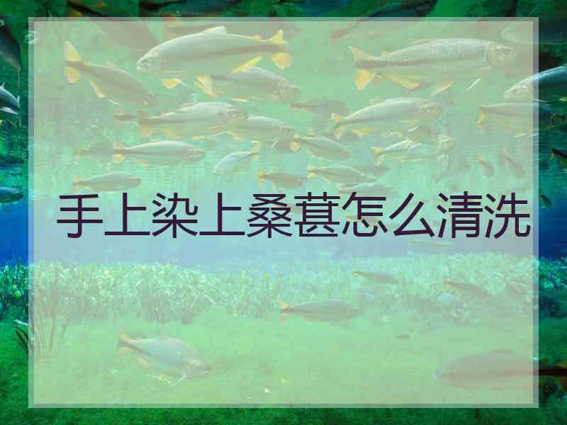 手上染上桑葚怎么清洗