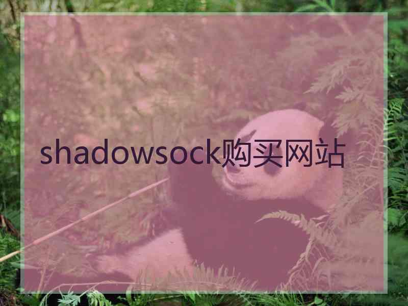 shadowsock购买网站