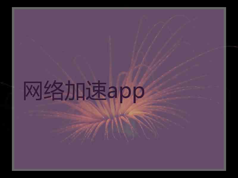 网络加速app