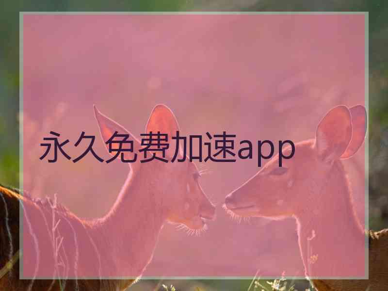 永久免费加速app