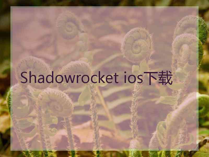 Shadowrocket ios下载