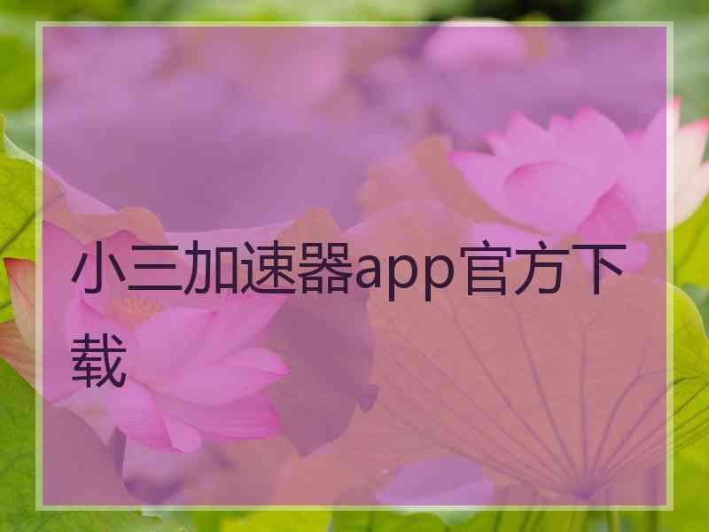 小三加速器app官方下载