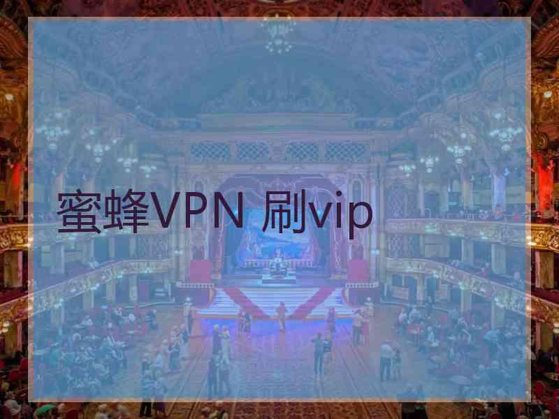 蜜蜂VPN 刷vip