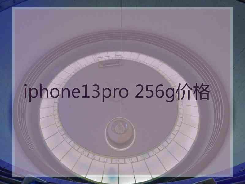 iphone13pro 256g价格