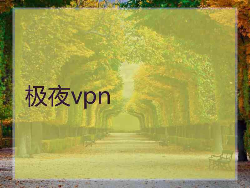 极夜vpn