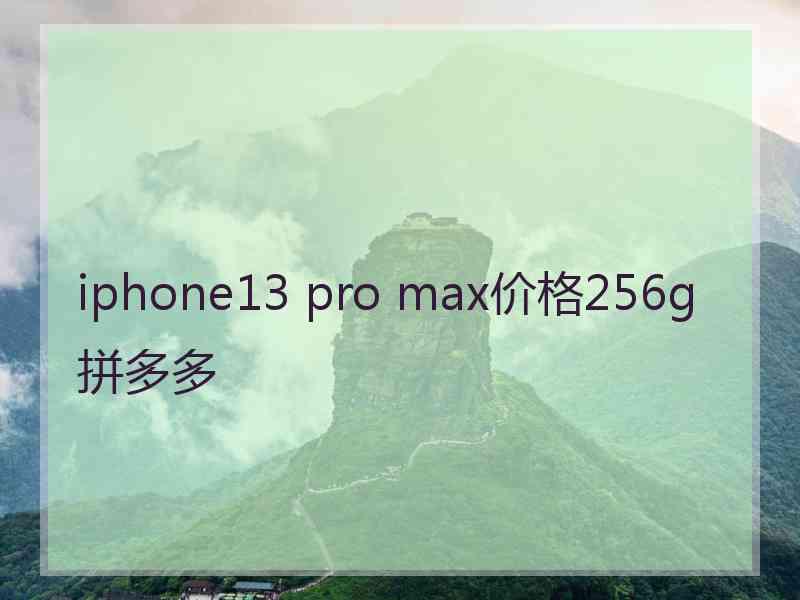 iphone13 pro max价格256g拼多多