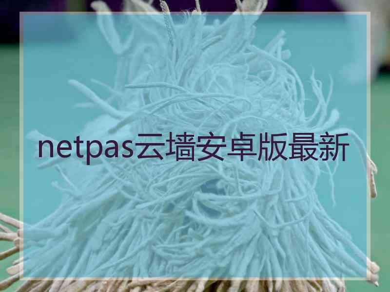 netpas云墙安卓版最新