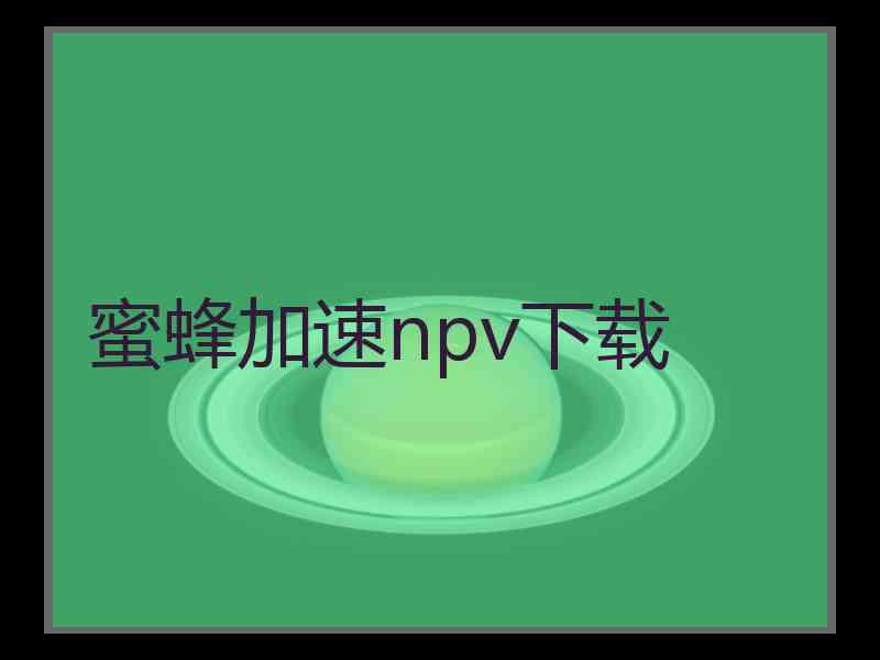 蜜蜂加速npv下载