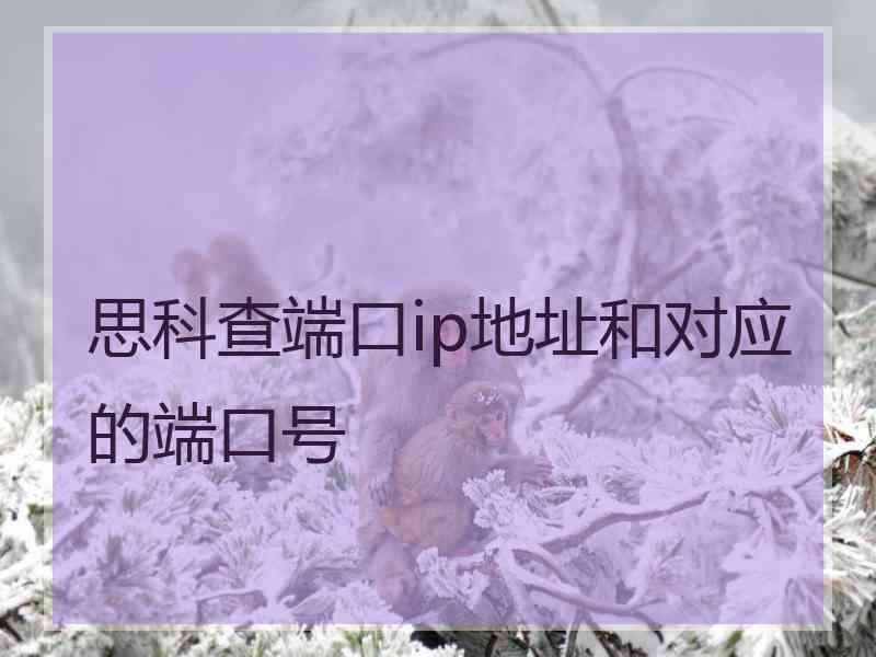 思科查端口ip地址和对应的端口号