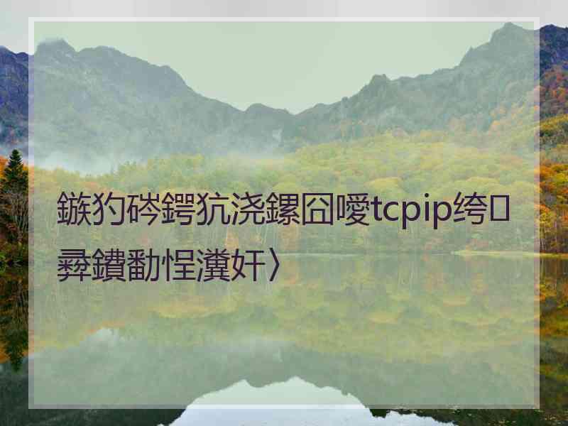 鏃犳硶鍔犺浇鏍囧噯tcpip绔彛鐨勫悜瀵奸〉