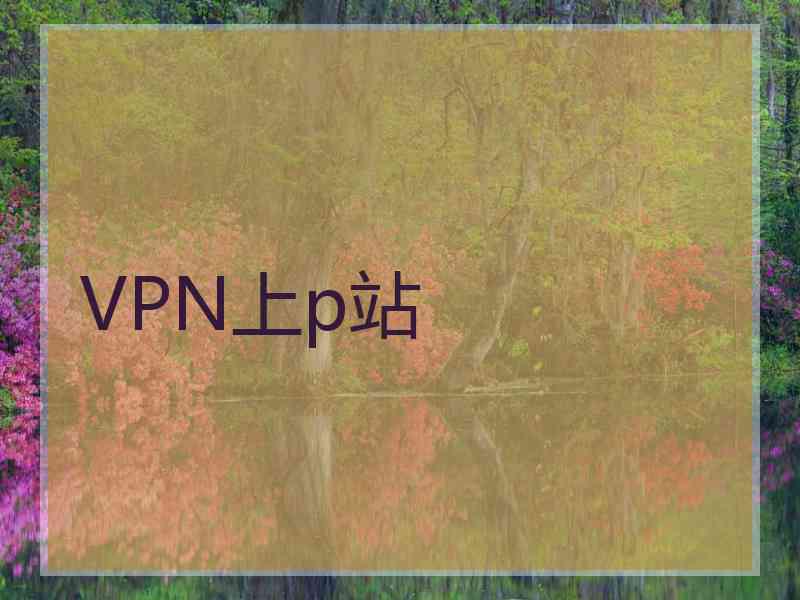 VPN上p站