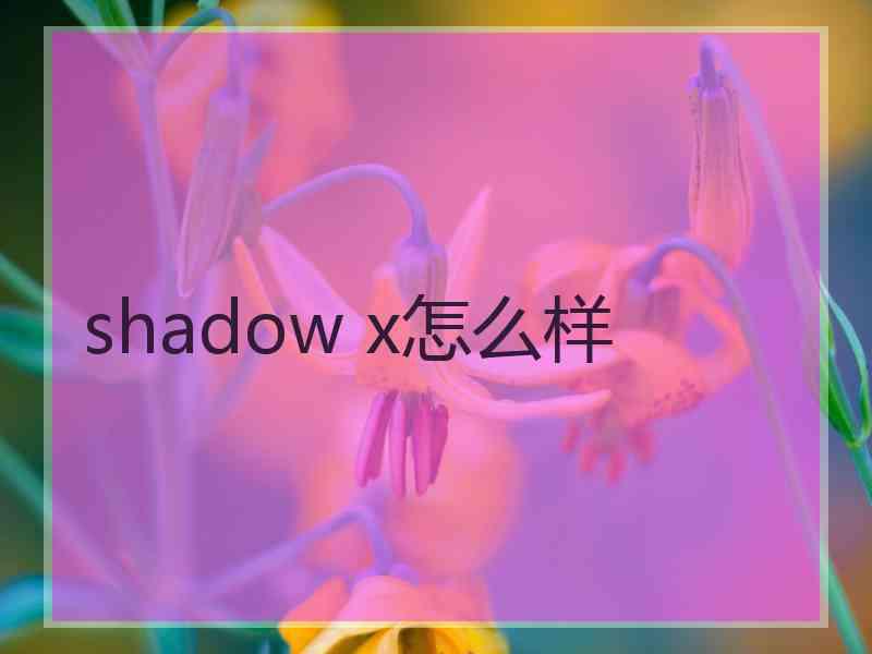 shadow x怎么样