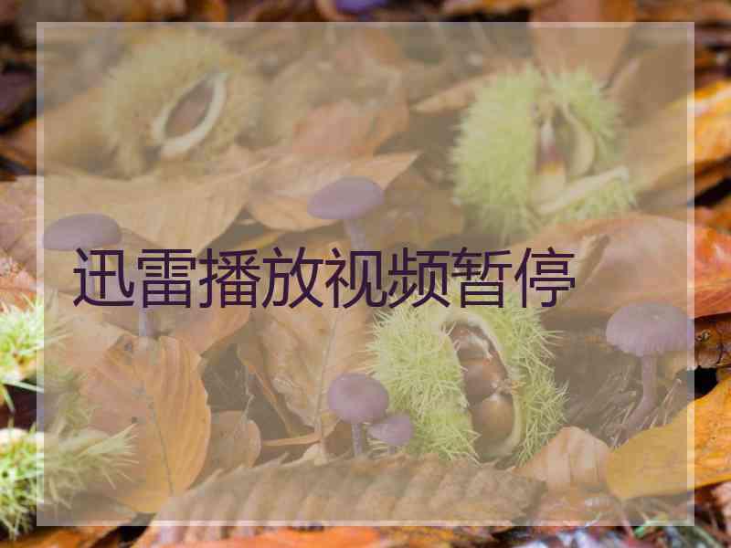 迅雷播放视频暂停