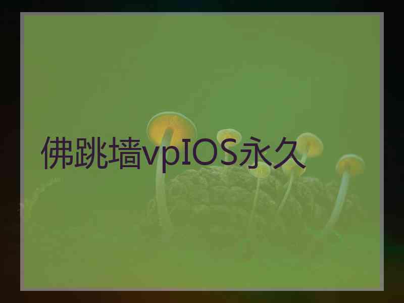 佛跳墙vpIOS永久