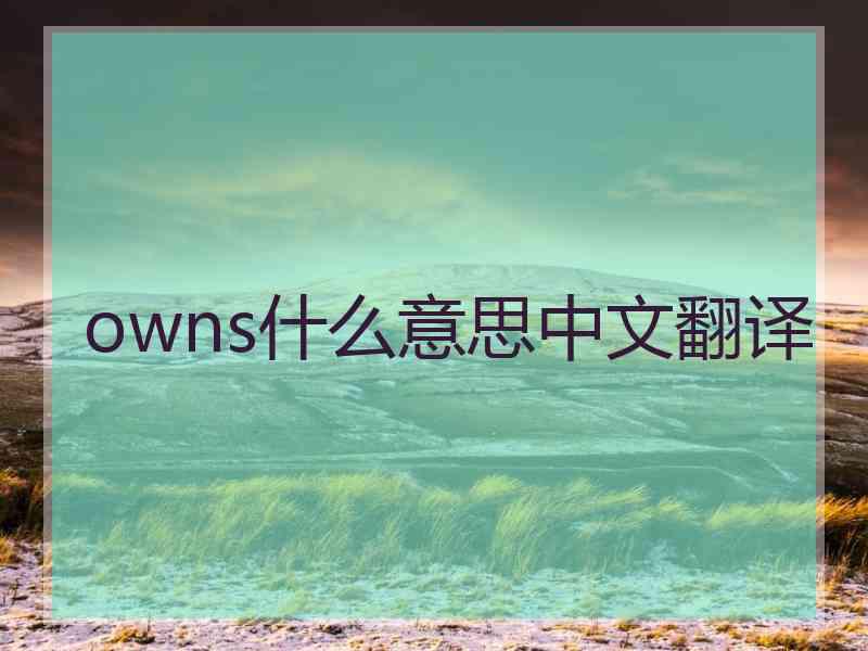 owns什么意思中文翻译