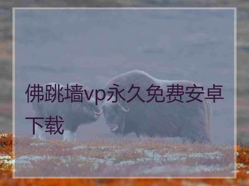 佛跳墙vp永久免费安卓下载