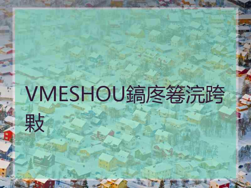 VMESHOU鎬庝箞浣跨敤