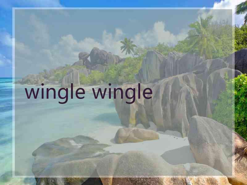 wingle wingle