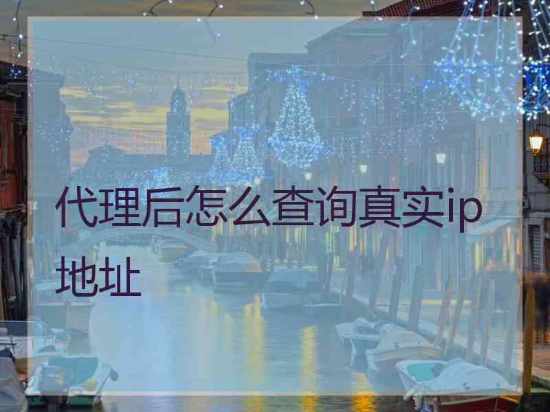 代理后怎么查询真实ip地址