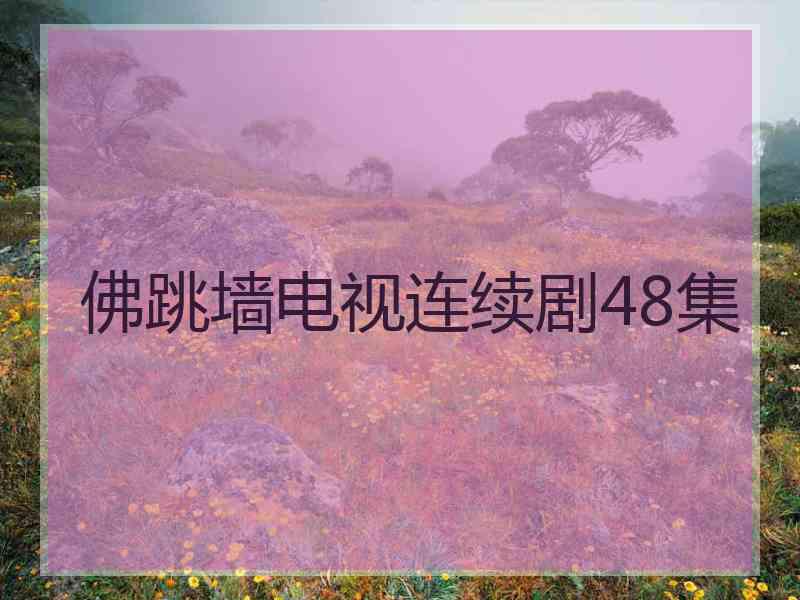 佛跳墙电视连续剧48集