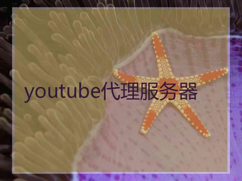 youtube代理服务器