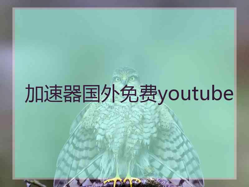 加速器国外免费youtube