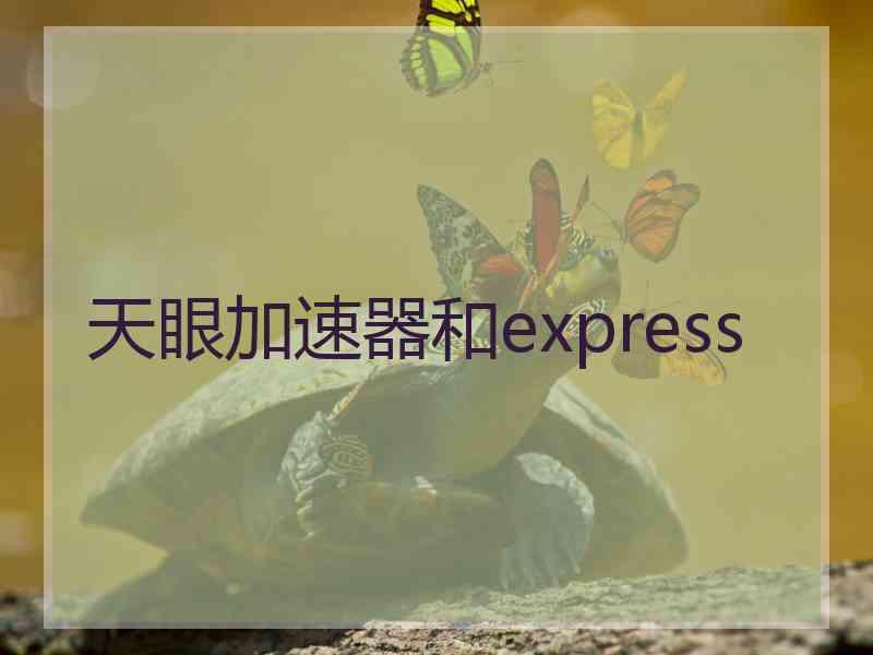 天眼加速器和express