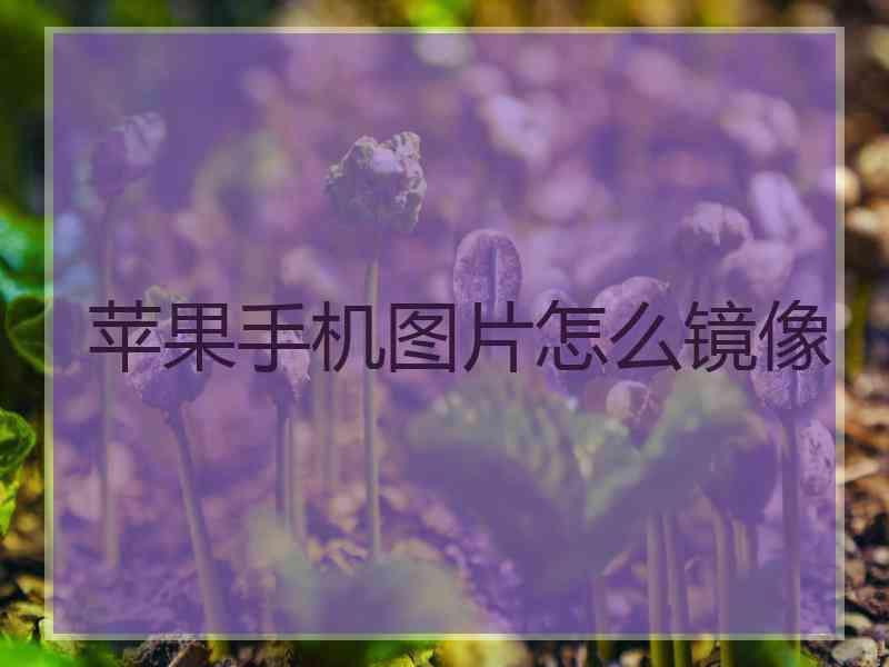 苹果手机图片怎么镜像