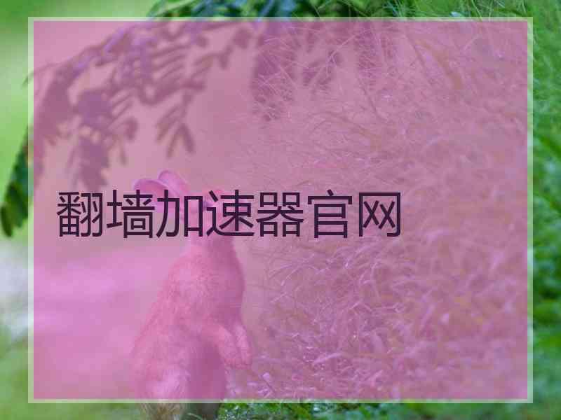 翻墙加速器官网