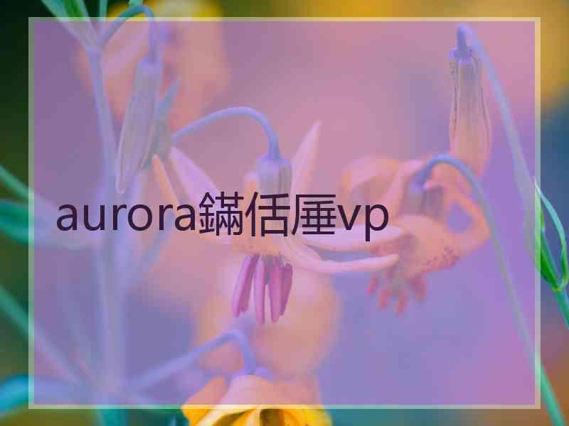 aurora鏋佸厜vp