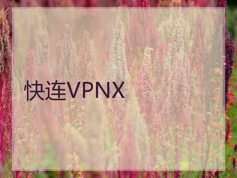 快连VPNX