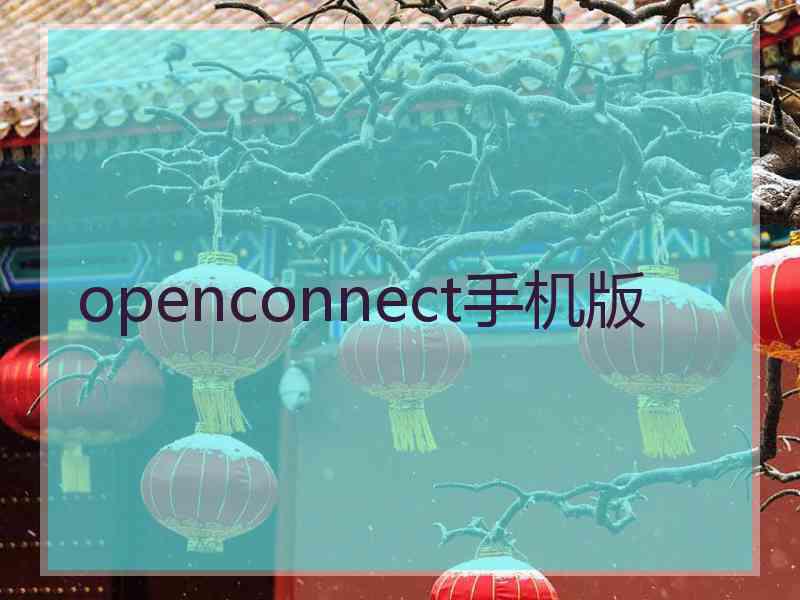 openconnect手机版