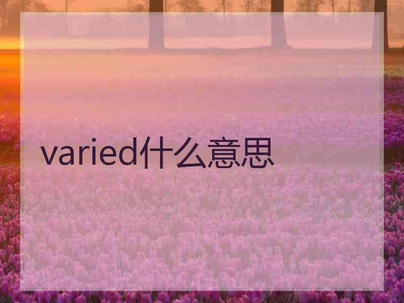 varied什么意思