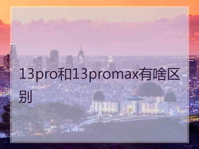 13pro和13promax有啥区别