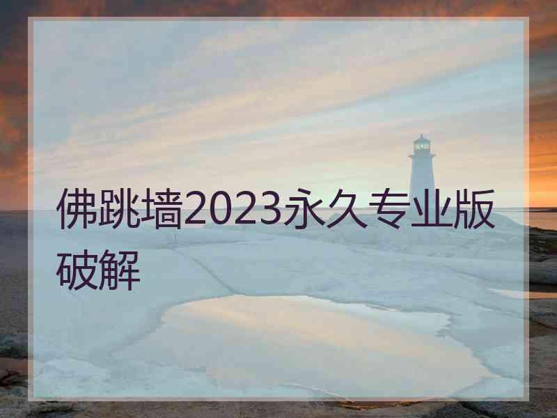 佛跳墙2023永久专业版破解