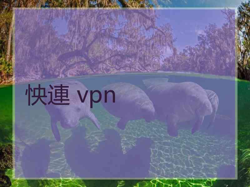 怏連 vpn