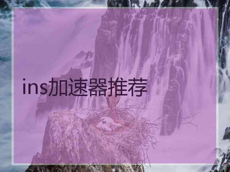 ins加速器推荐