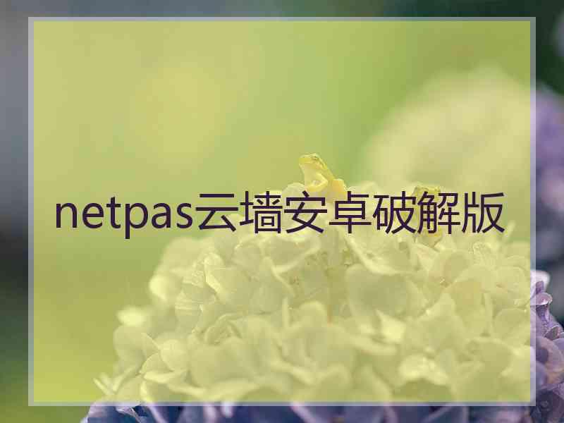 netpas云墙安卓破解版